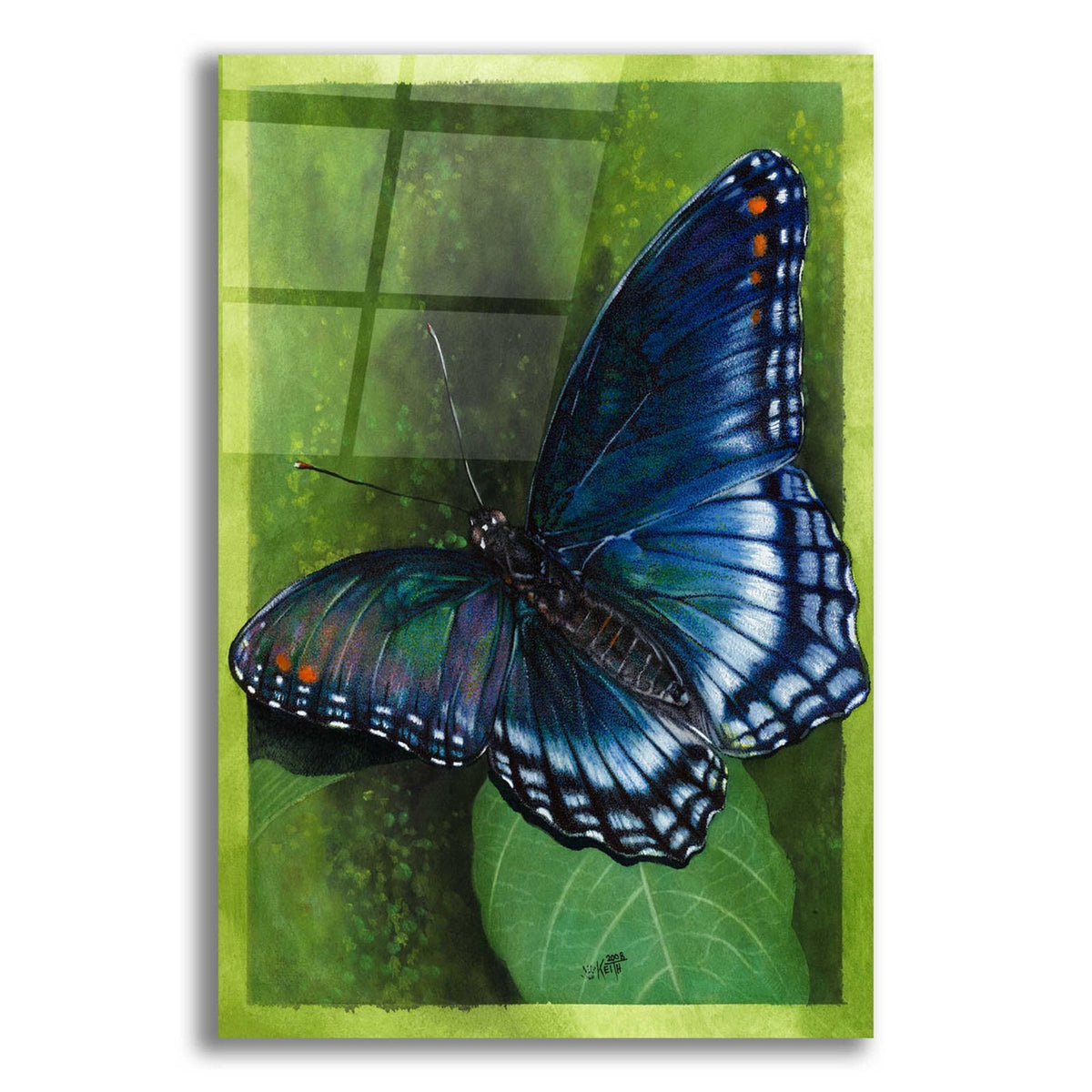 Jewel Tones by Barbara Keith acrylic glass wall art