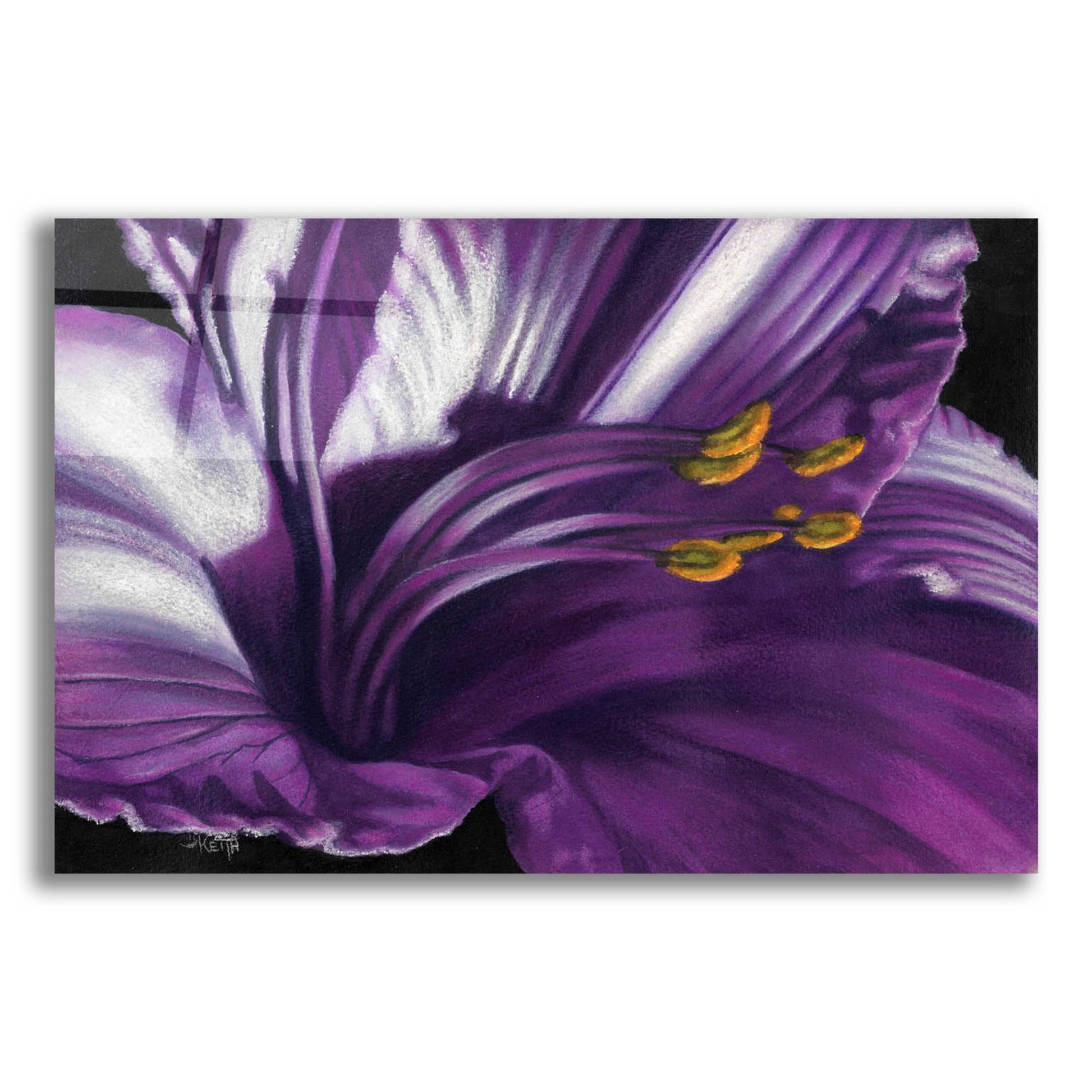 Epic Art 'Amethyst' by Barbara Keith, Acrylic Glass Wall Art,24x16