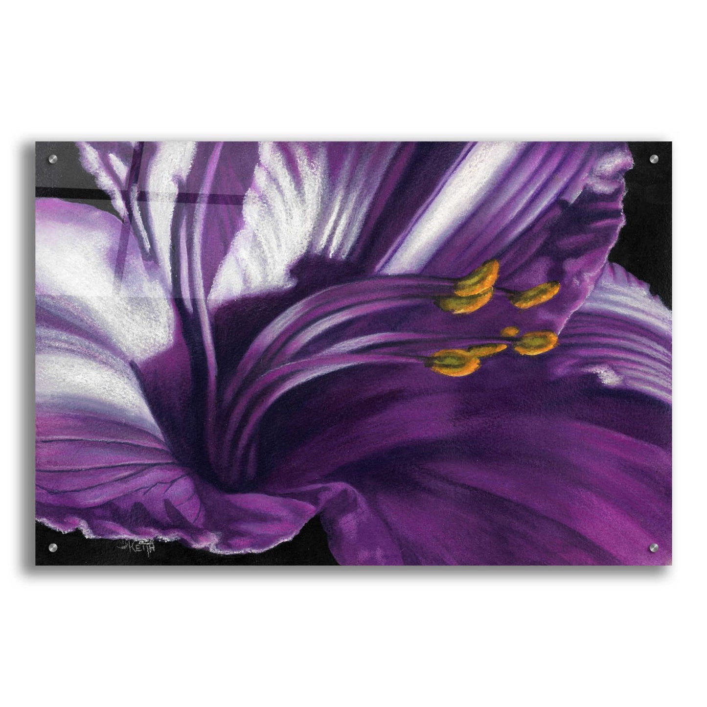 Epic Art 'Amethyst' by Barbara Keith, Acrylic Glass Wall Art,36x24