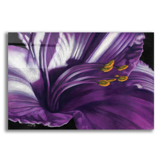 Epic Art 'Amethyst' by Barbara Keith, Acrylic Glass Wall Art