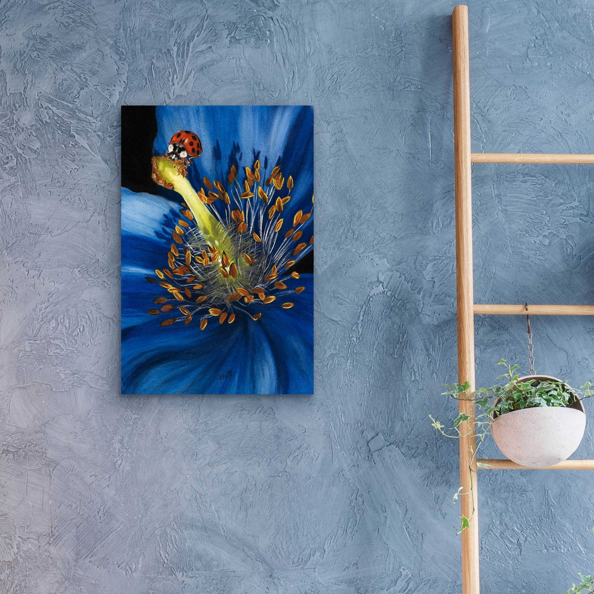 Lazuline by Barbara Keith - 16x24 acrylic wall art in a room