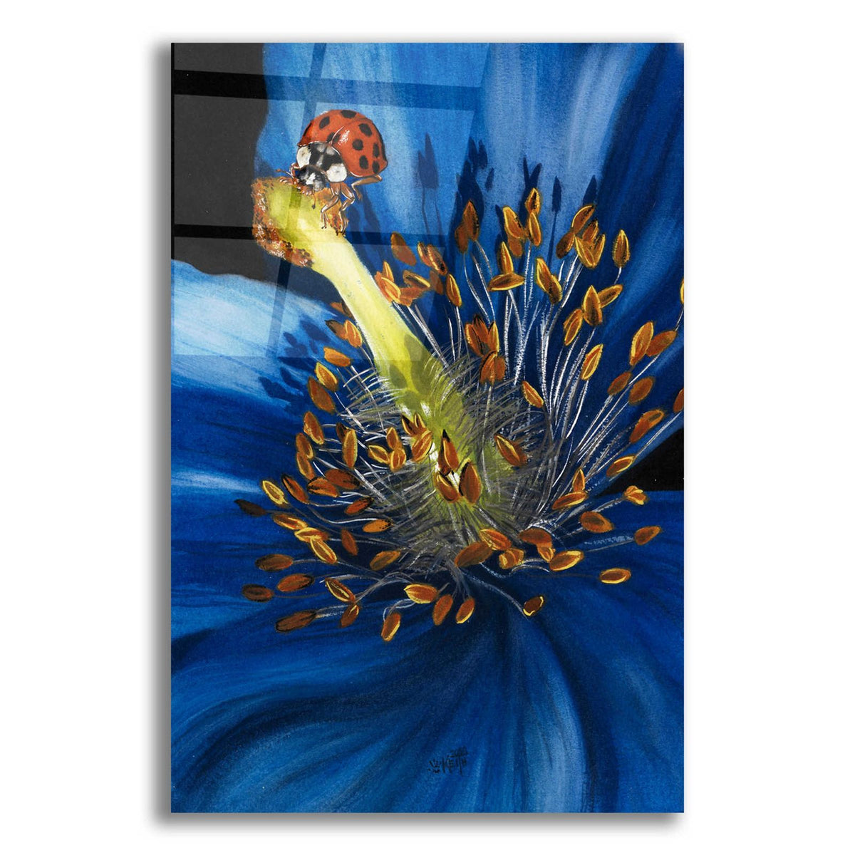 Lazuline by Barbara Keith acrylic glass wall art
