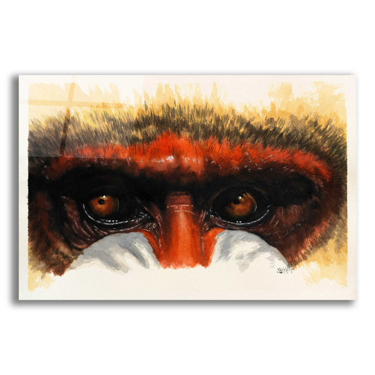 Eye-Catching by Barbara Keith acrylic glass wall art