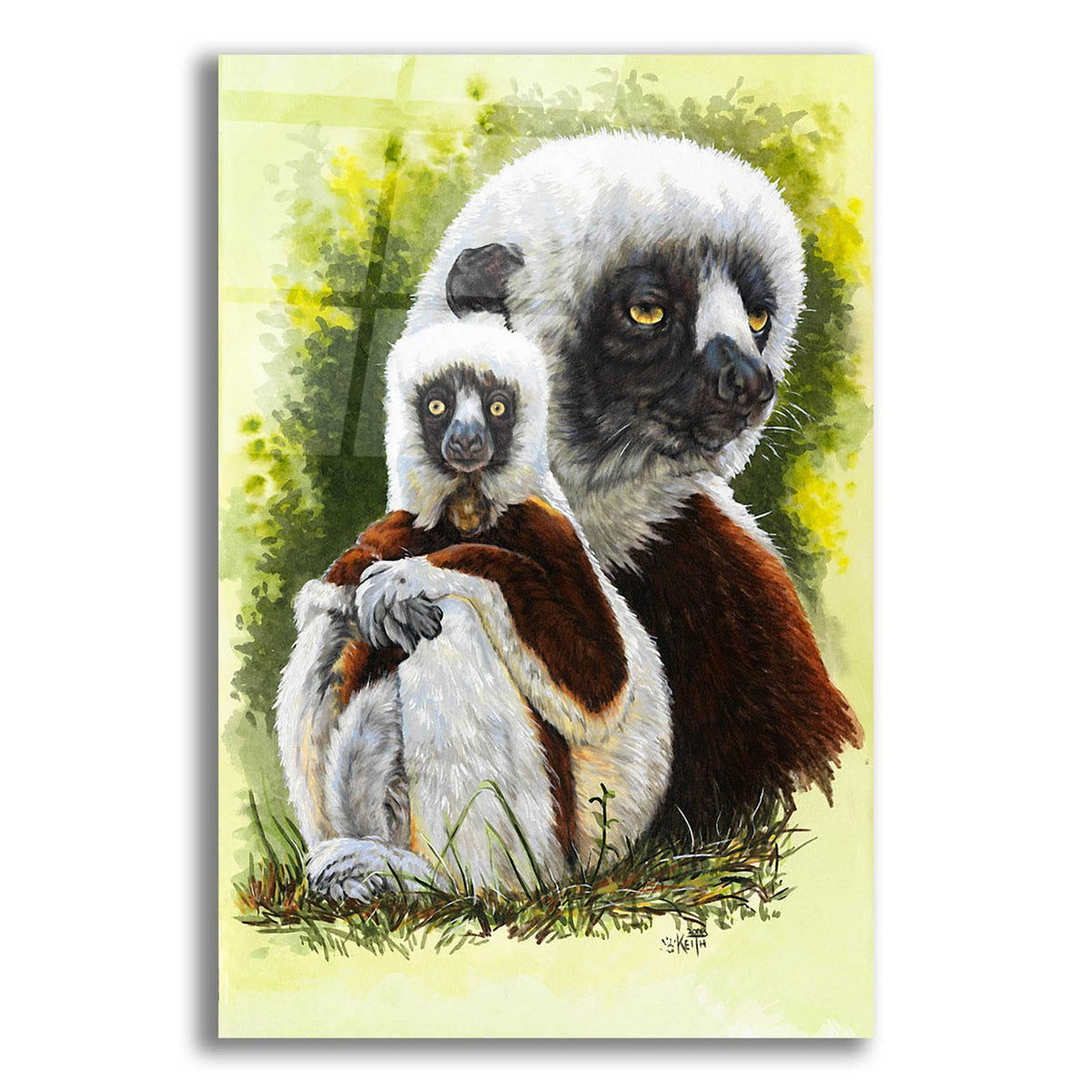 Coquette by Barbara Keith acrylic glass wall art