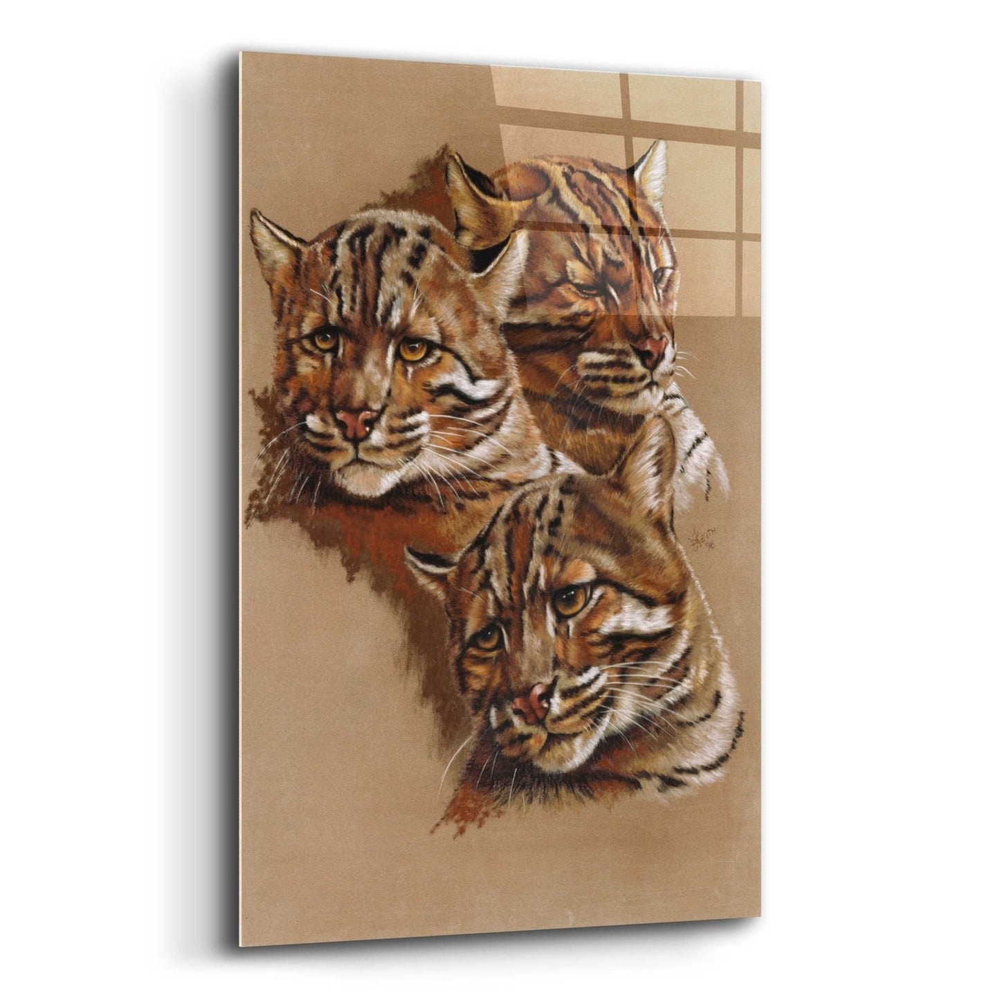 Epic Art 'Fire Cat' by Barbara Keith, Acrylic Glass Wall Art,12x16