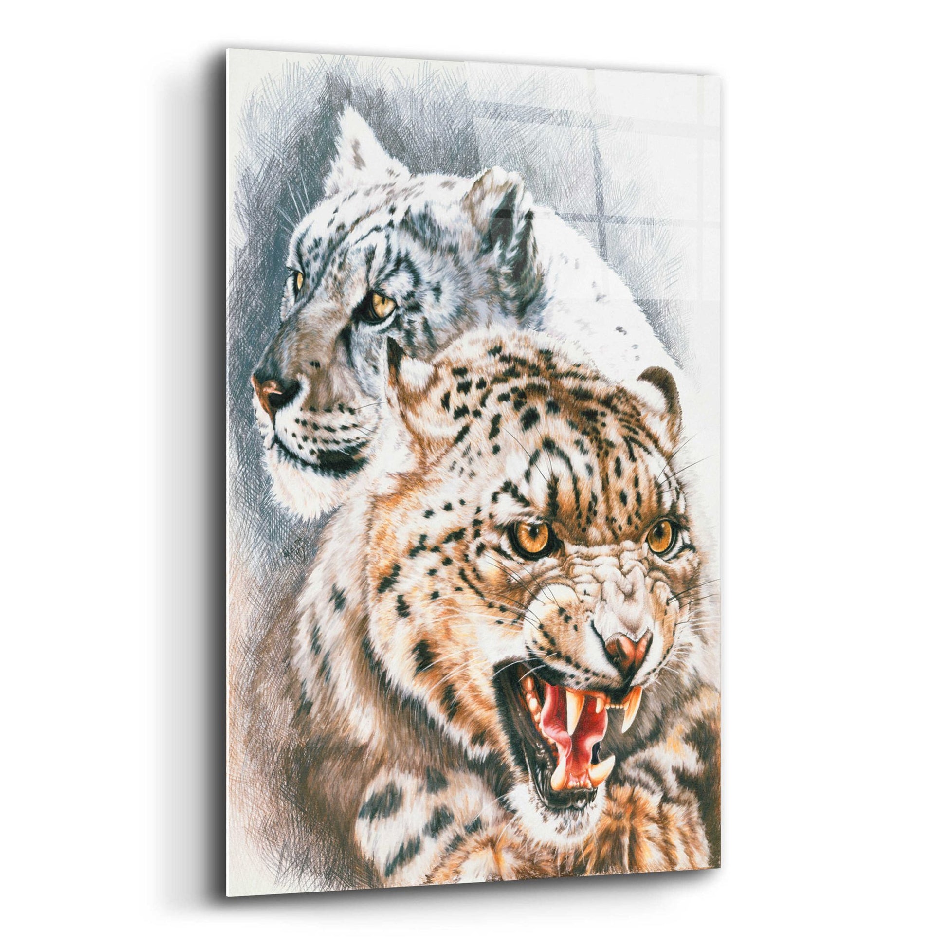 Epic Art 'Savage Perfection' by Barbara Keith, Acrylic Glass Wall Art,12x16