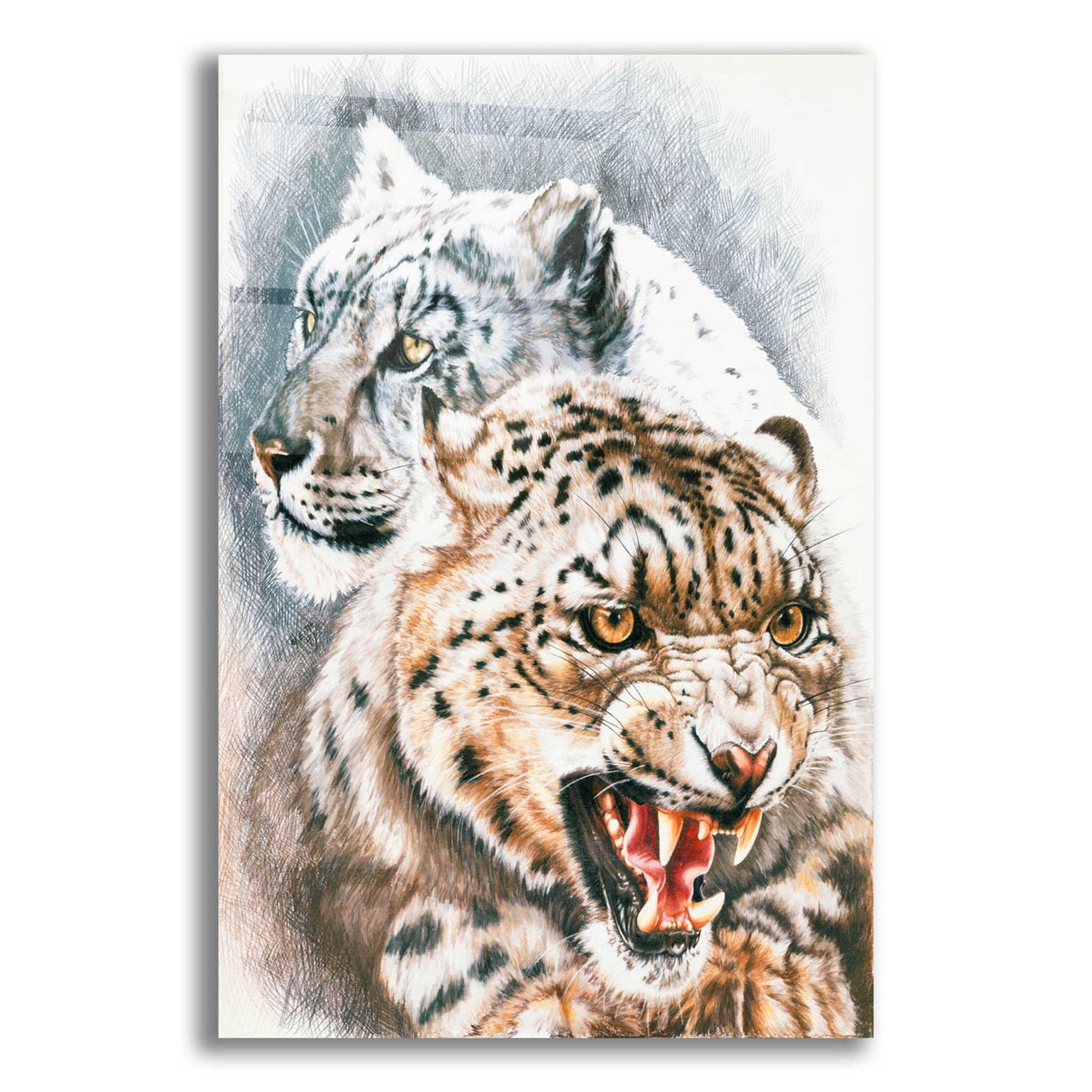 Epic Art 'Savage Perfection' by Barbara Keith, Acrylic Glass Wall Art,12x16