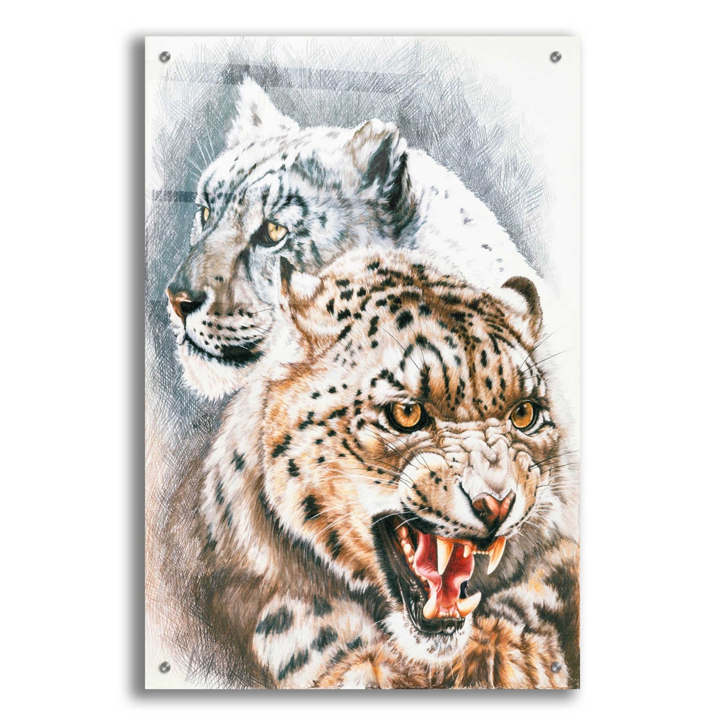 Epic Art 'Savage Perfection' by Barbara Keith, Acrylic Glass Wall Art,24x36