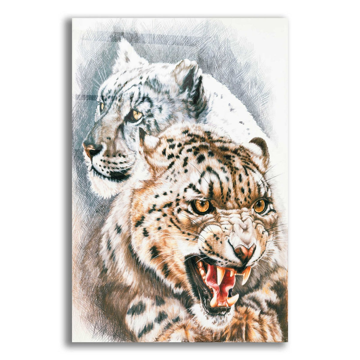 Savage Perfection by Barbara Keith acrylic glass wall art