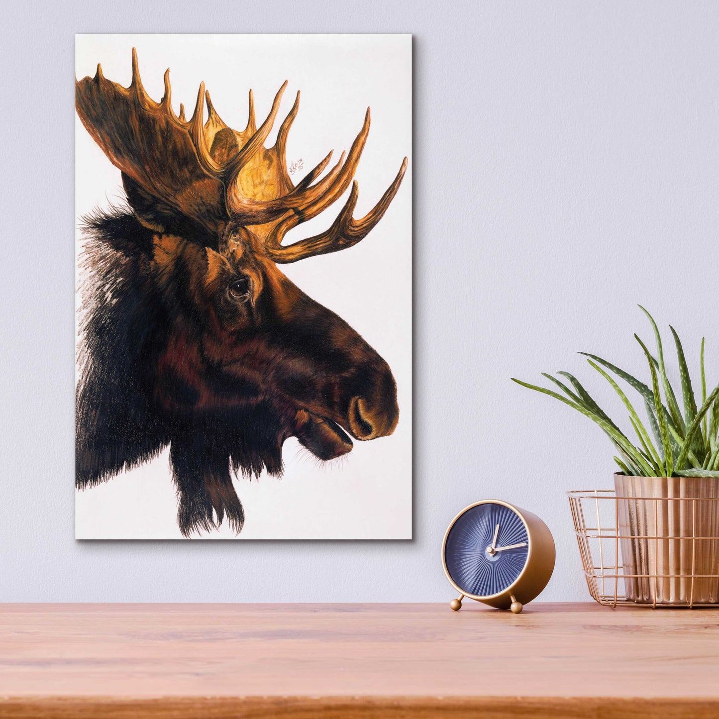 Epic Art 'Bullwinkle' by Barbara Keith, Acrylic Glass Wall Art,12x16