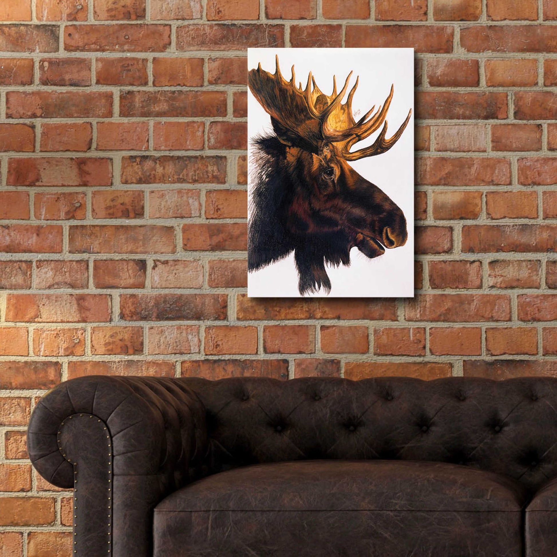 Epic Art 'Bullwinkle' by Barbara Keith, Acrylic Glass Wall Art,16x24