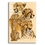 Celerity by Barbara Keith acrylic glass wall art