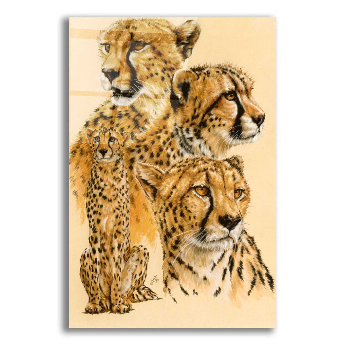Celerity by Barbara Keith acrylic glass wall art