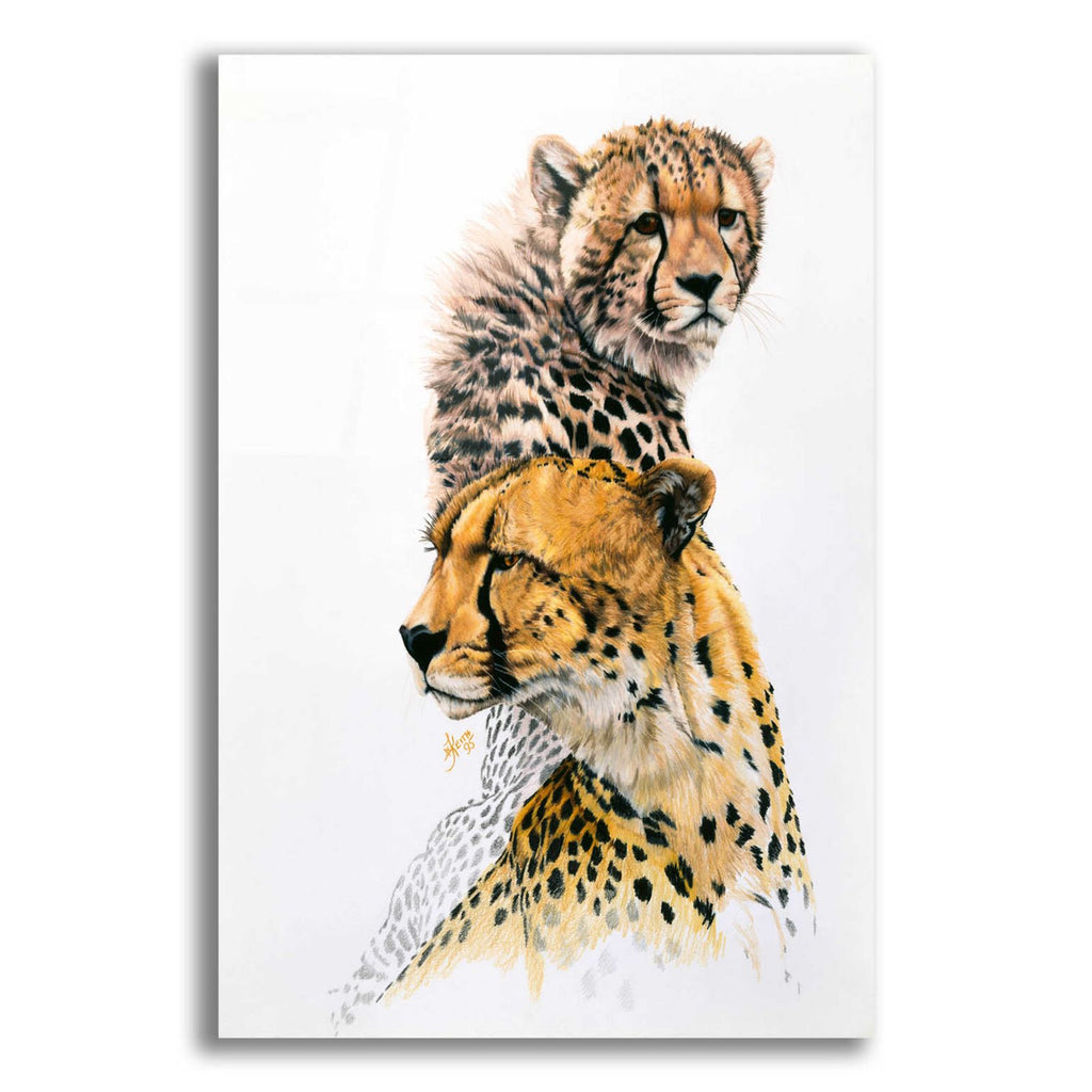 Brother Of The Wind by Barbara Keith acrylic glass wall art