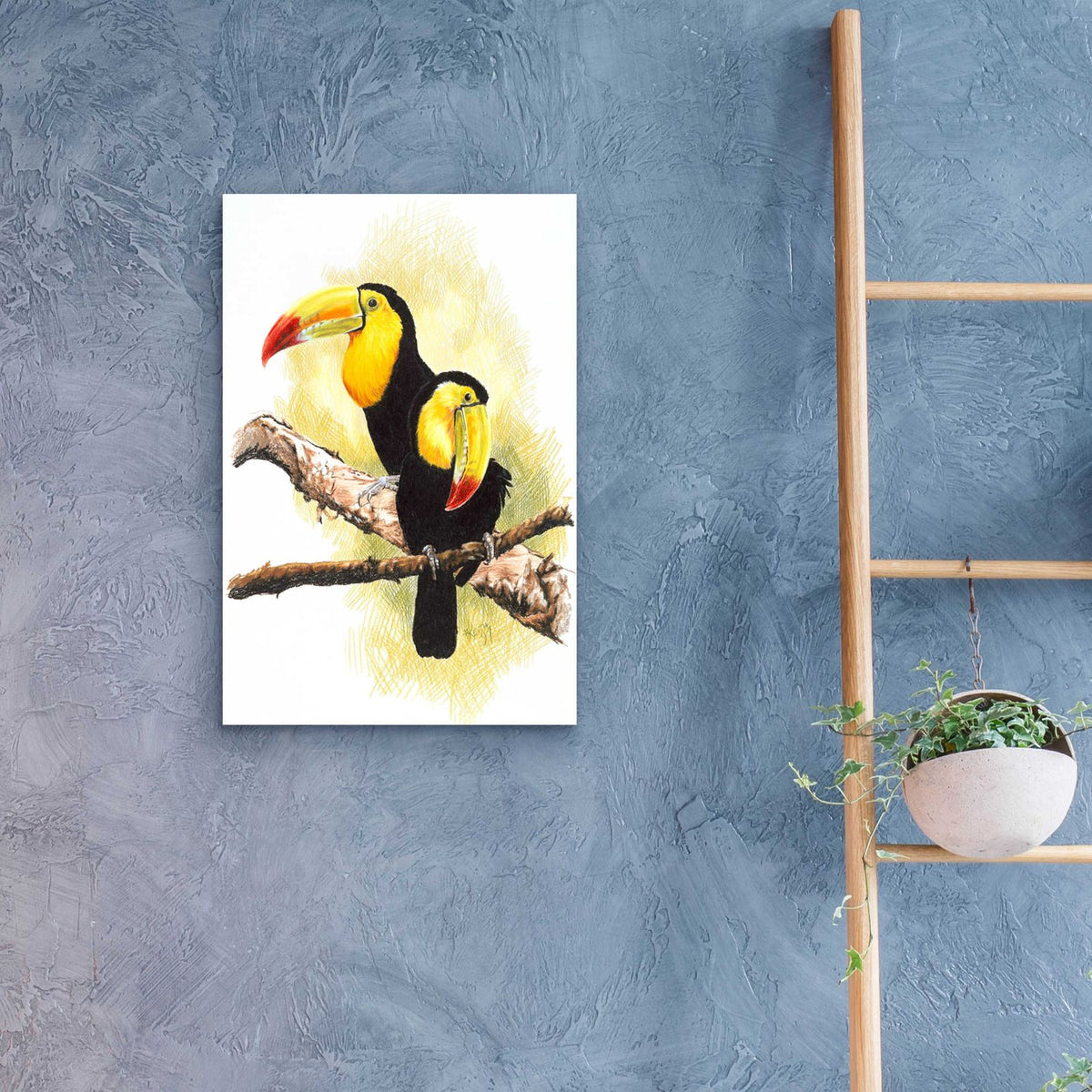 Toucans by Barbara Keith - 16x24 acrylic wall art in a room