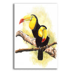 Toucans by Barbara Keith acrylic glass wall art