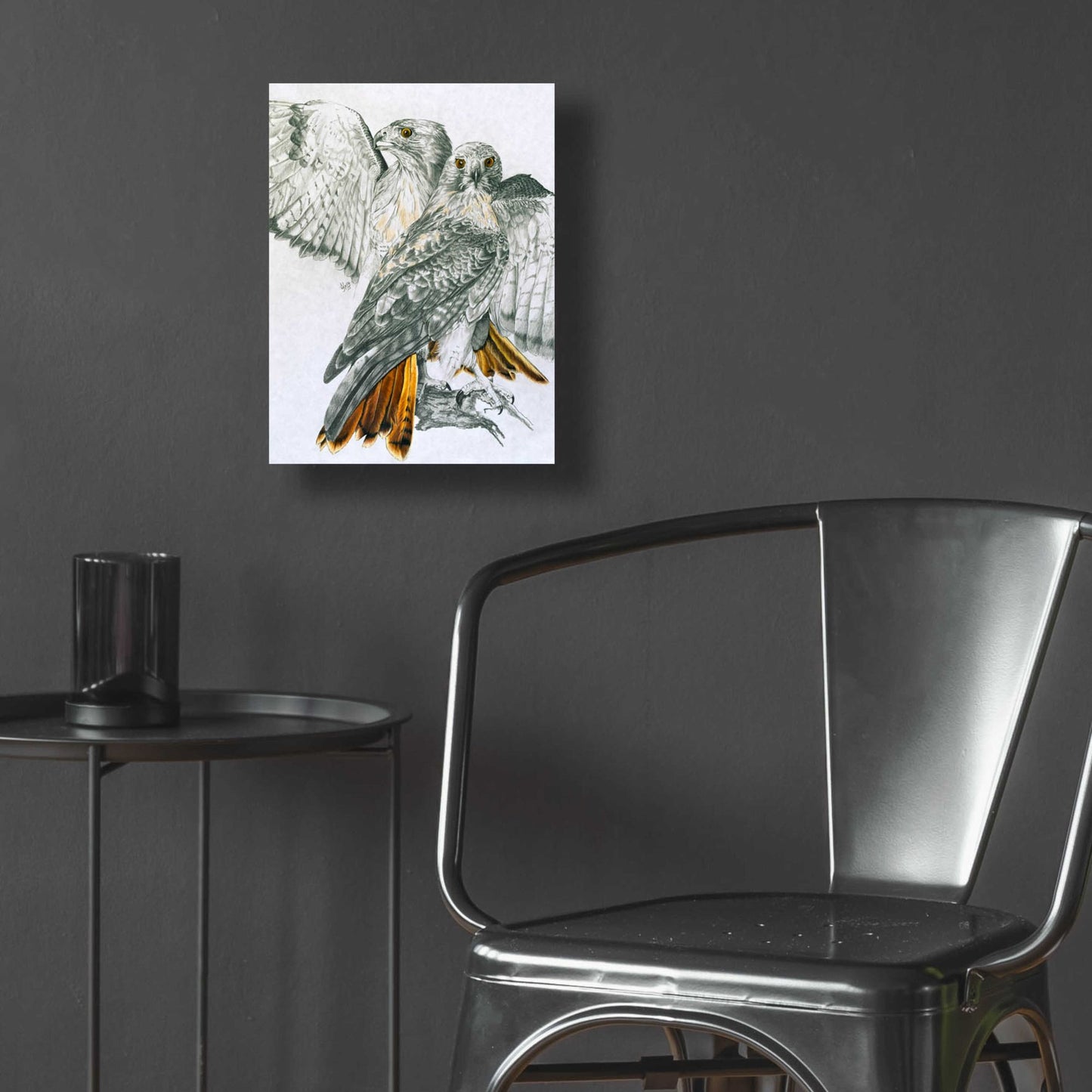 Epic Art 'Redtailed Hawk' by Barbara Keith, Acrylic Glass Wall Art,12x16