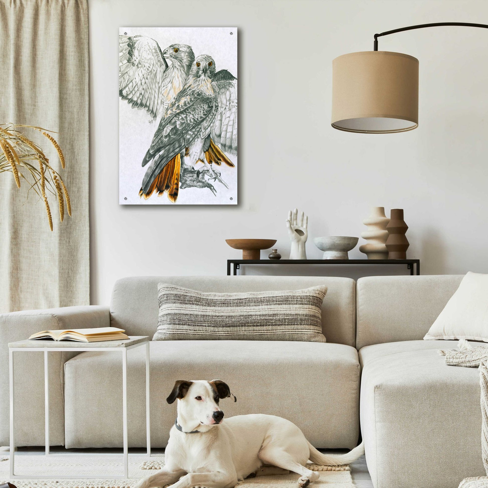 Epic Art 'Redtailed Hawk' by Barbara Keith, Acrylic Glass Wall Art,24x36