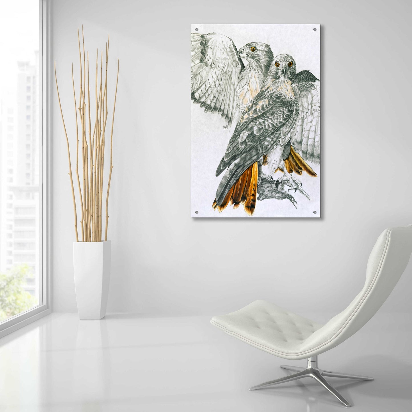 Epic Art 'Redtailed Hawk' by Barbara Keith, Acrylic Glass Wall Art,24x36