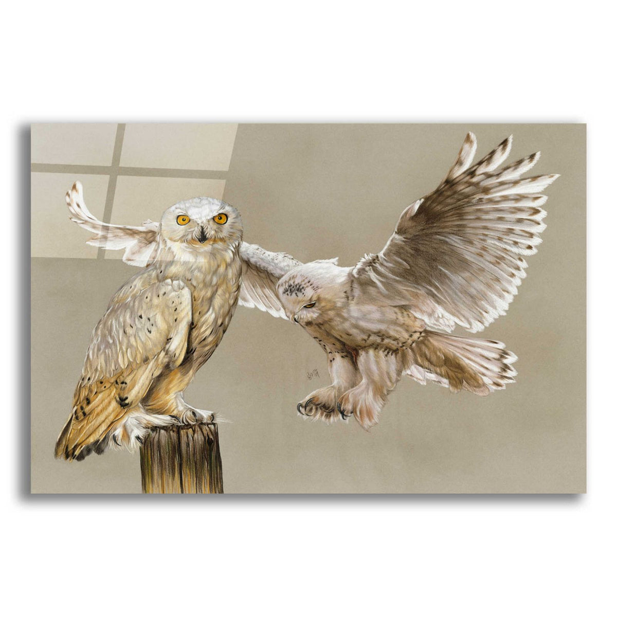 Halcyon by Barbara Keith acrylic glass wall art