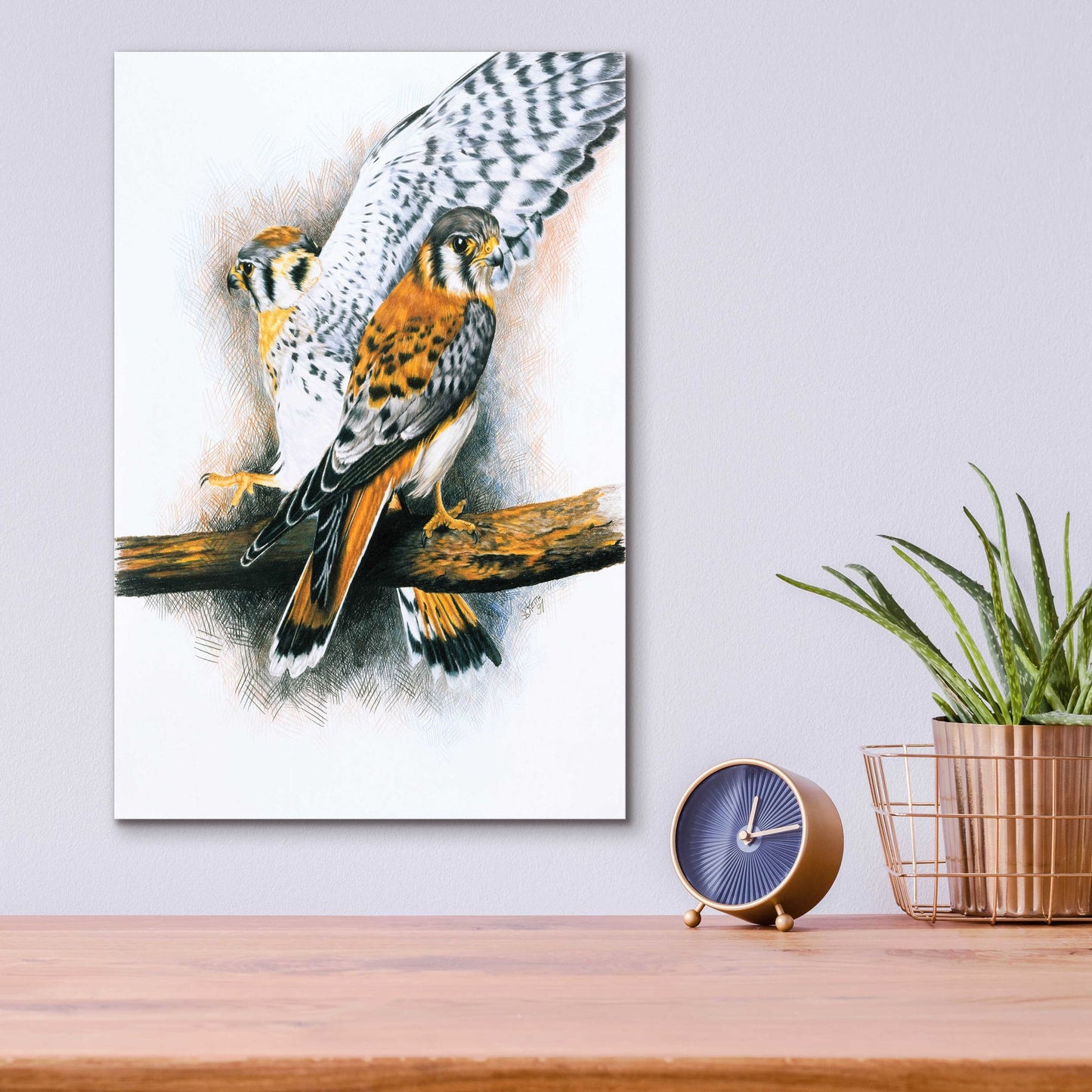 Epic Art 'Elegant Raptor' by Barbara Keith, Acrylic Glass Wall Art,12x16