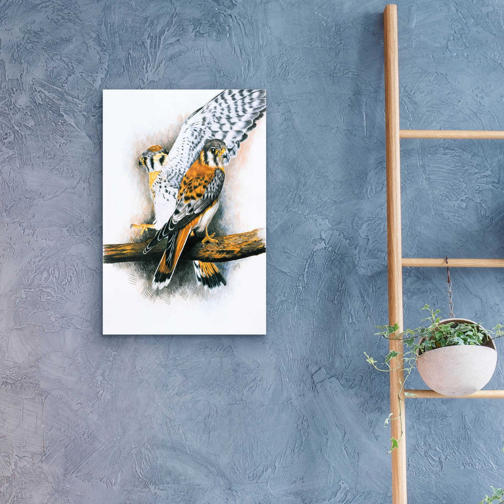 Elegant Raptor by Barbara Keith - 16x24 acrylic wall art in a room
