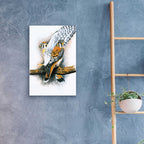 Elegant Raptor by Barbara Keith - 16x24 acrylic wall art in a room