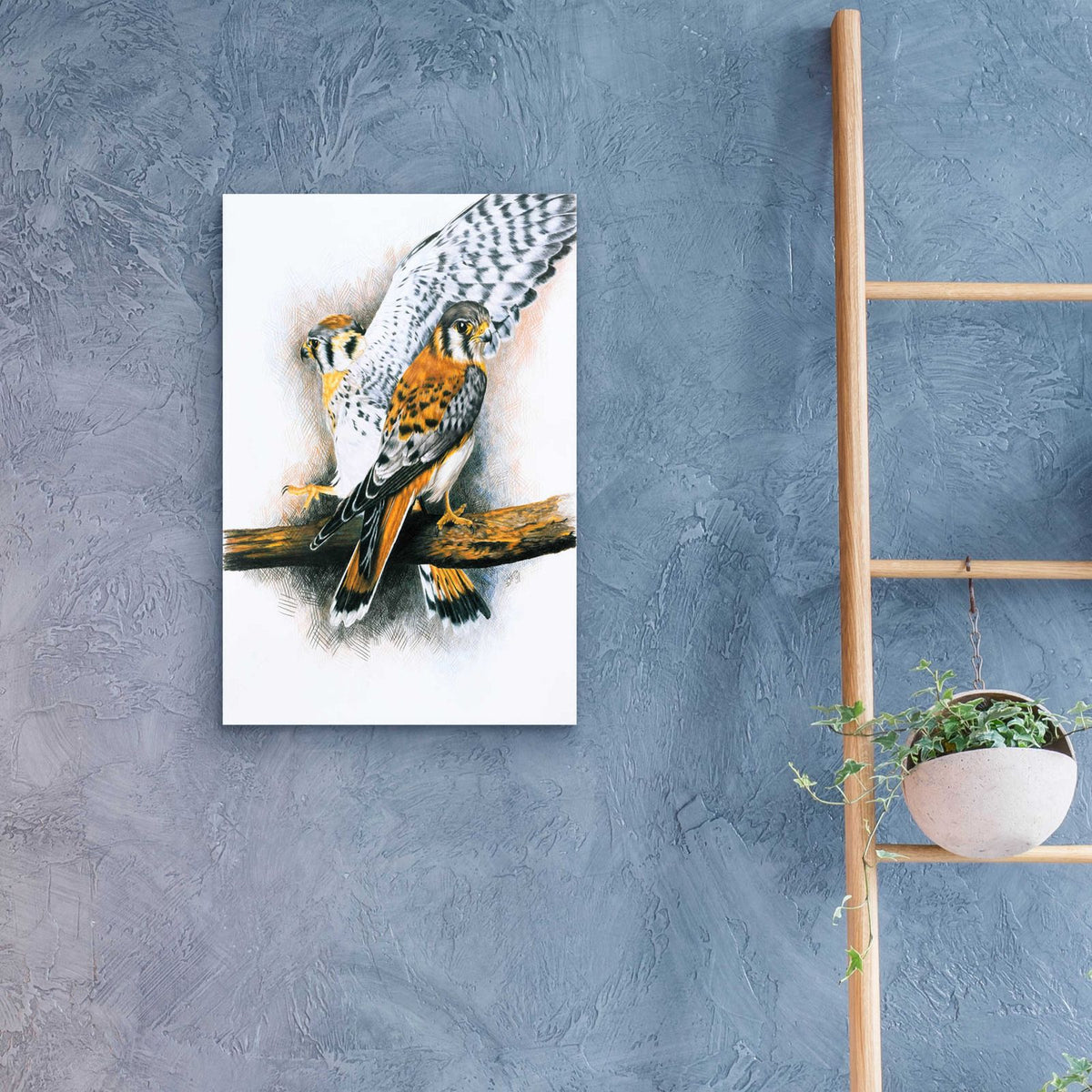 Elegant Raptor by Barbara Keith - 16x24 acrylic wall art in a room
