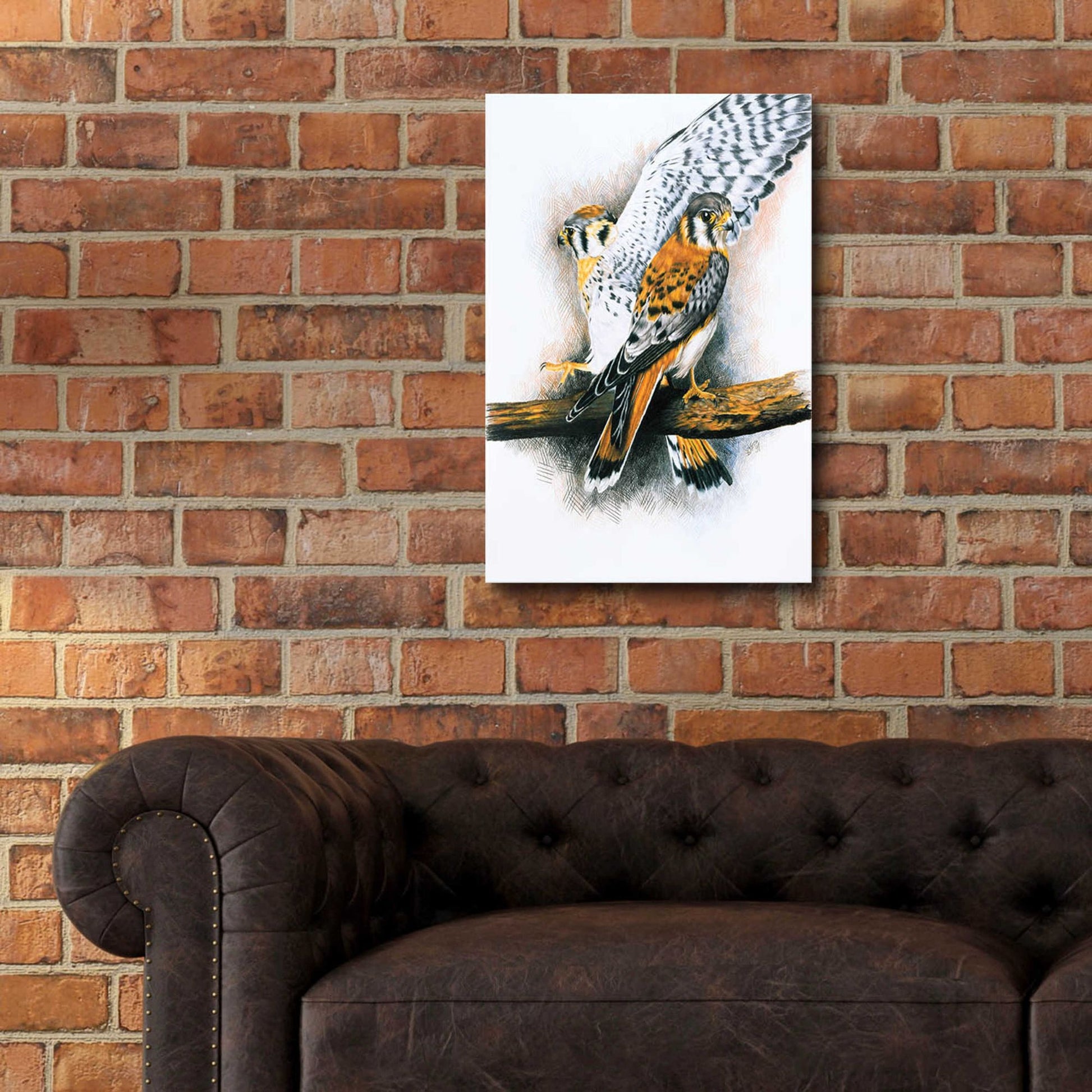 Epic Art 'Elegant Raptor' by Barbara Keith, Acrylic Glass Wall Art,16x24