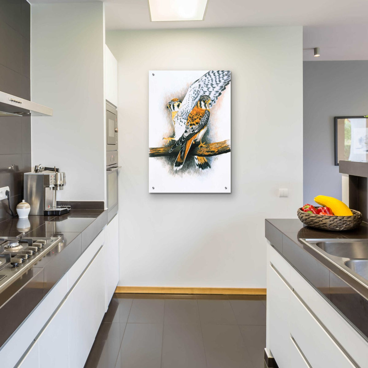 Elegant Raptor by Barbara Keith - 24x36 acrylic wall art in a room