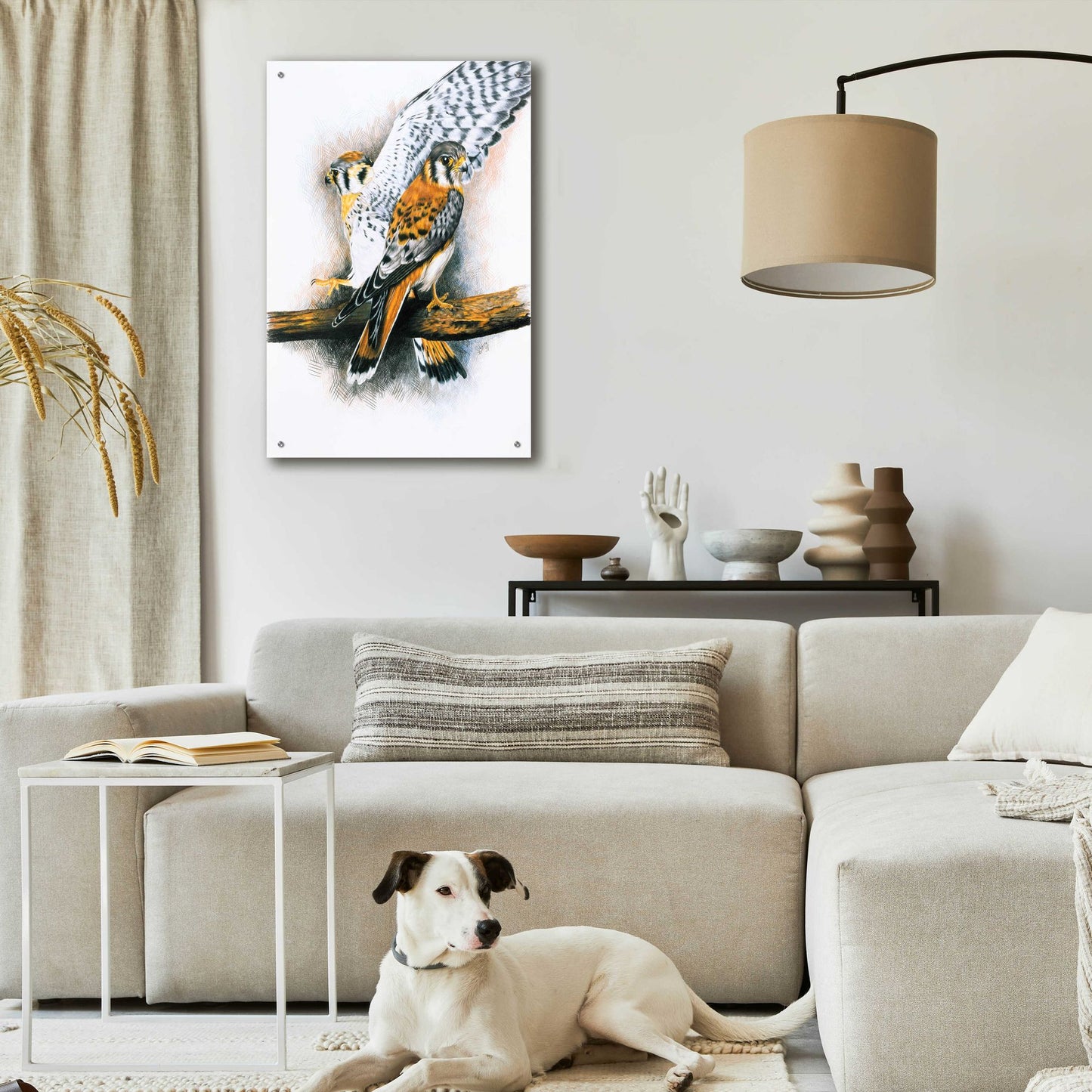 Epic Art 'Elegant Raptor' by Barbara Keith, Acrylic Glass Wall Art,24x36