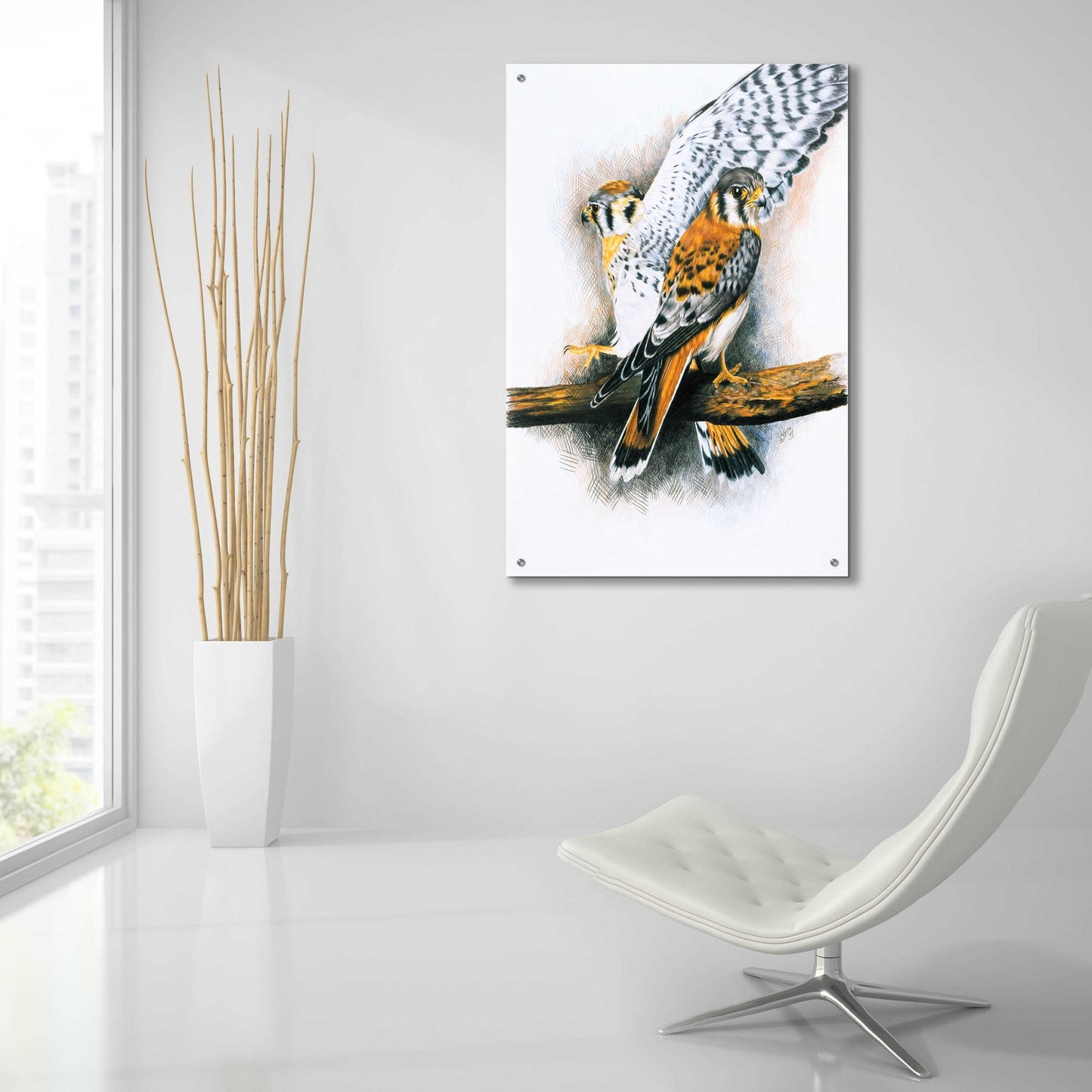 Epic Art 'Elegant Raptor' by Barbara Keith, Acrylic Glass Wall Art,24x36