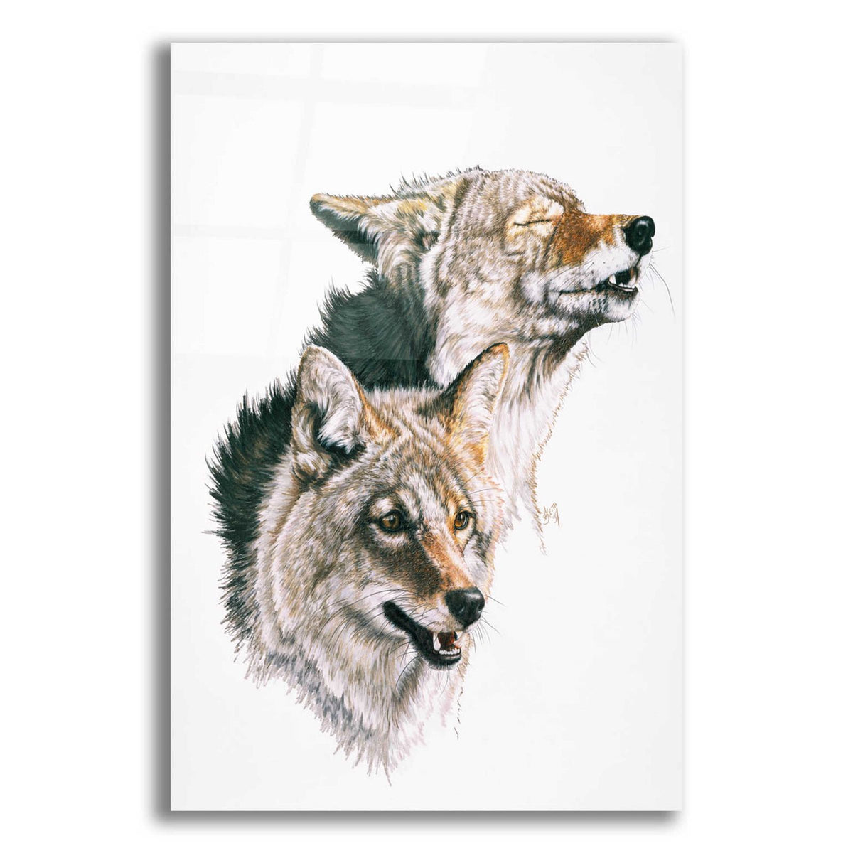 Nature's Minstral by Barbara Keith acrylic glass wall art