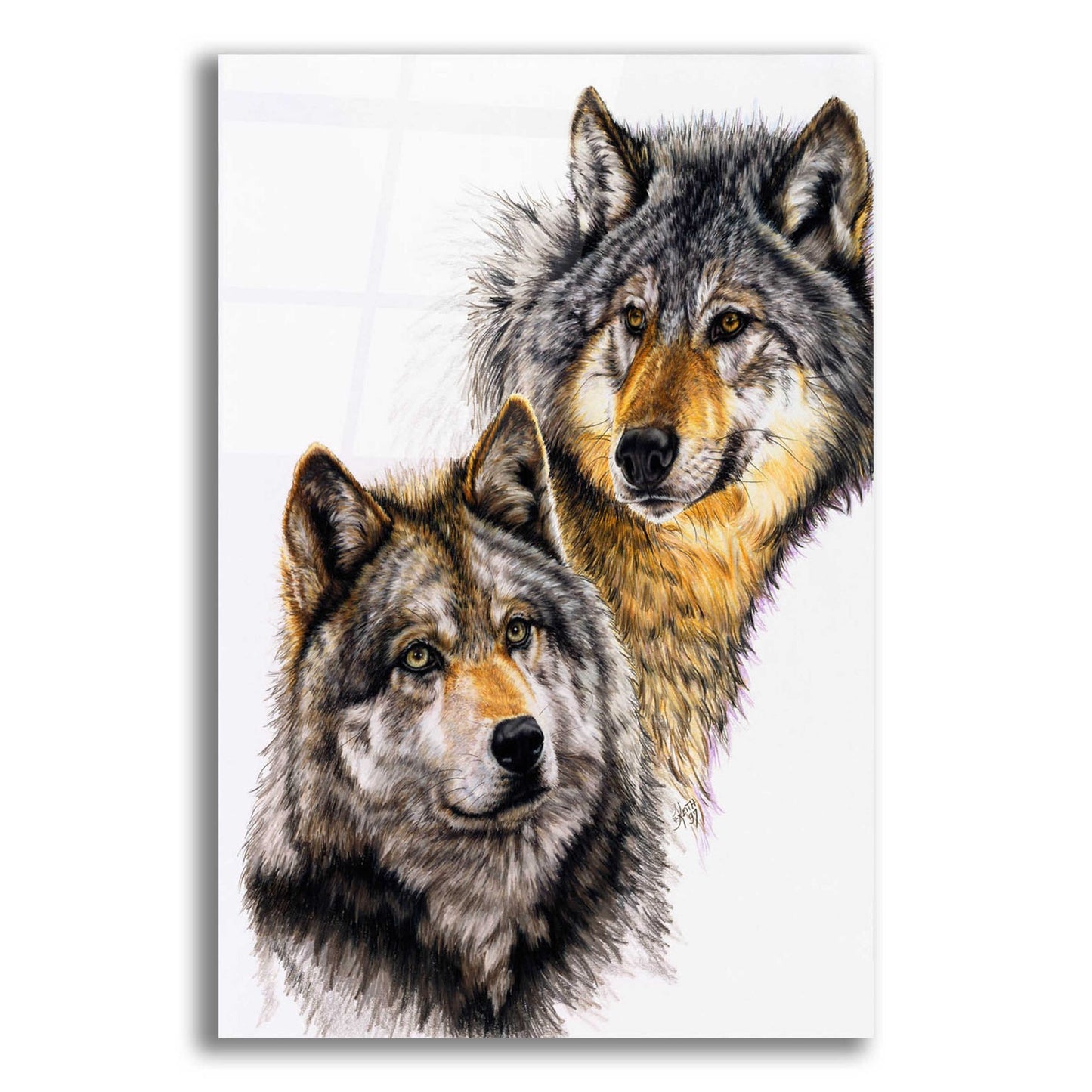 Epic Art 'Splendid Companions' by Barbara Keith, Acrylic Glass Wall Art,12x16