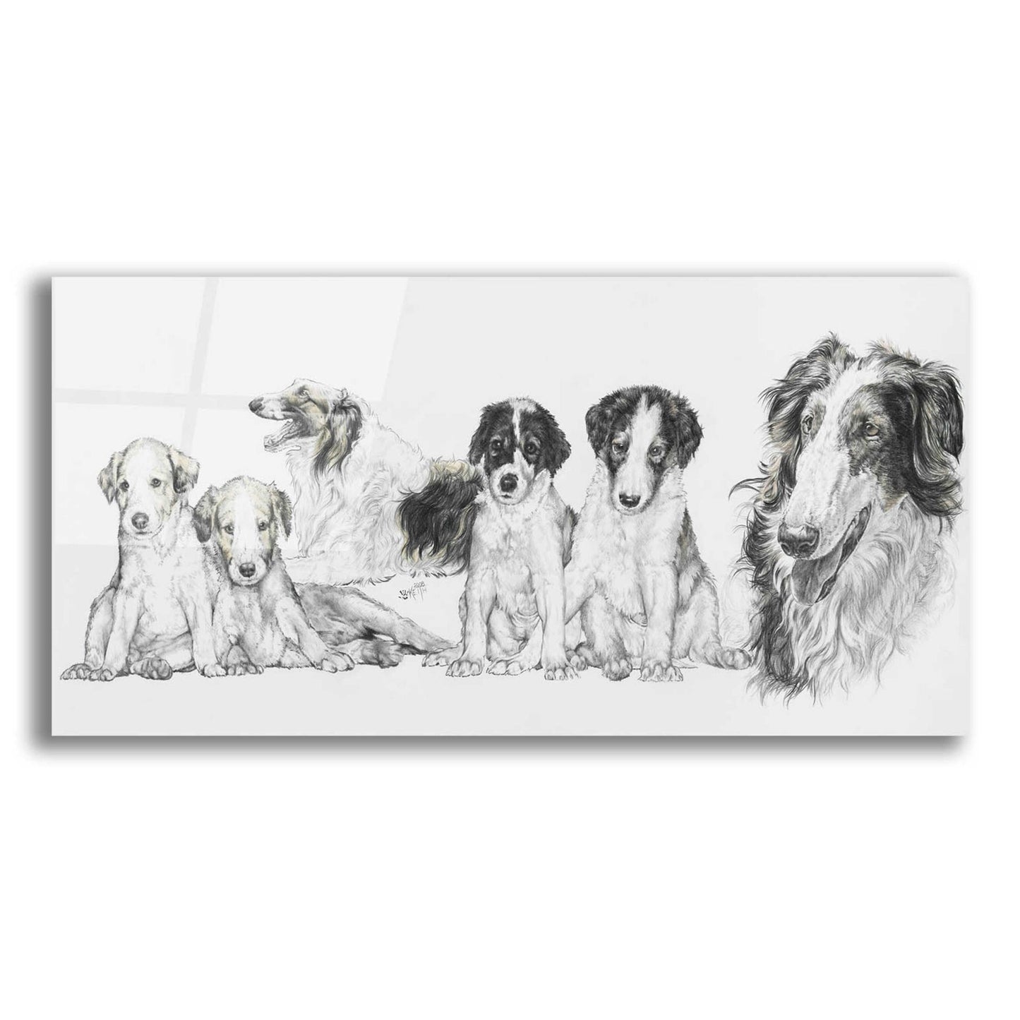 Epic Art 'Growing Up Borzoi' by Barbara Keith, Acrylic Glass Wall Art,24x12