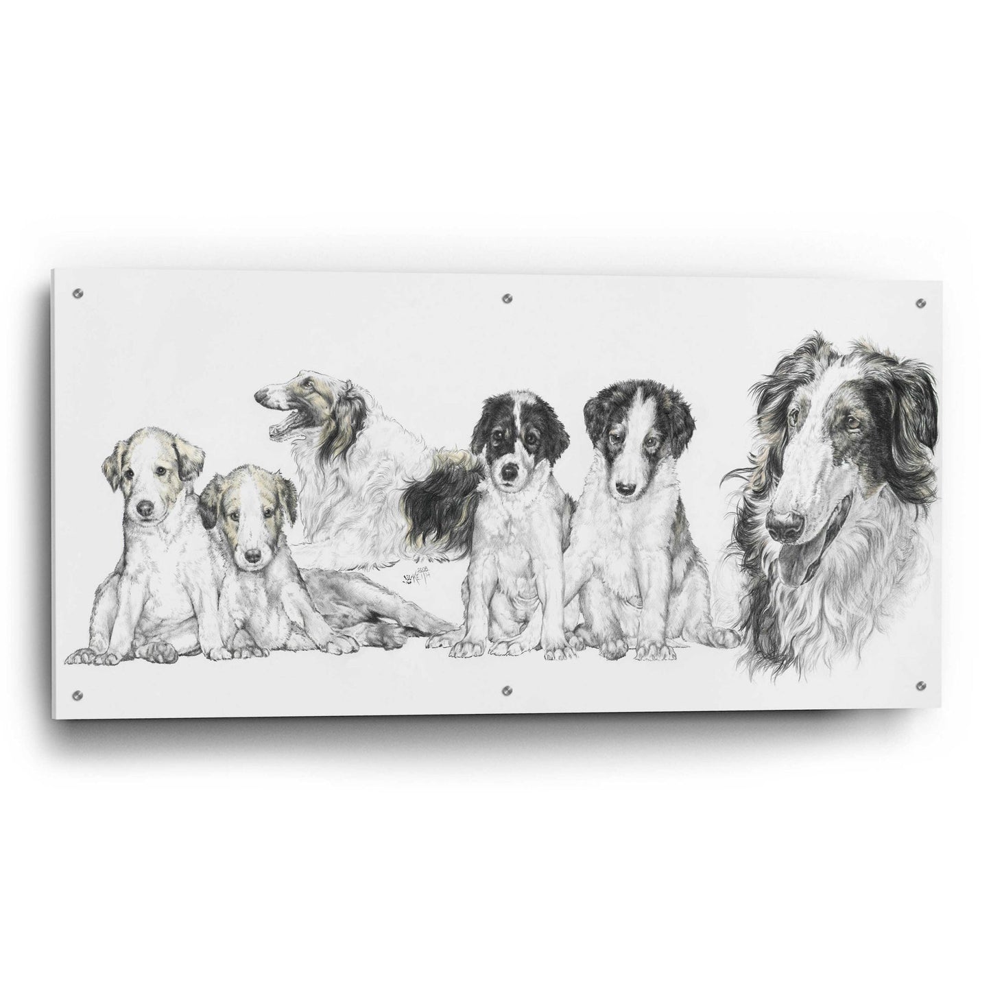 Epic Art 'Growing Up Borzoi' by Barbara Keith, Acrylic Glass Wall Art,48x24