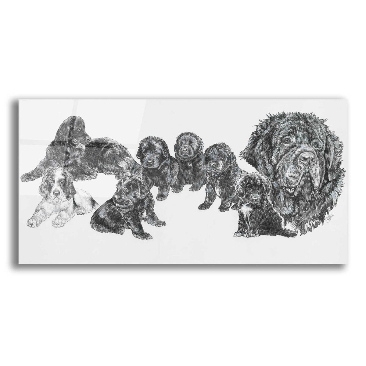 Growing Up Newfoundland by Barbara Keith acrylic glass wall art