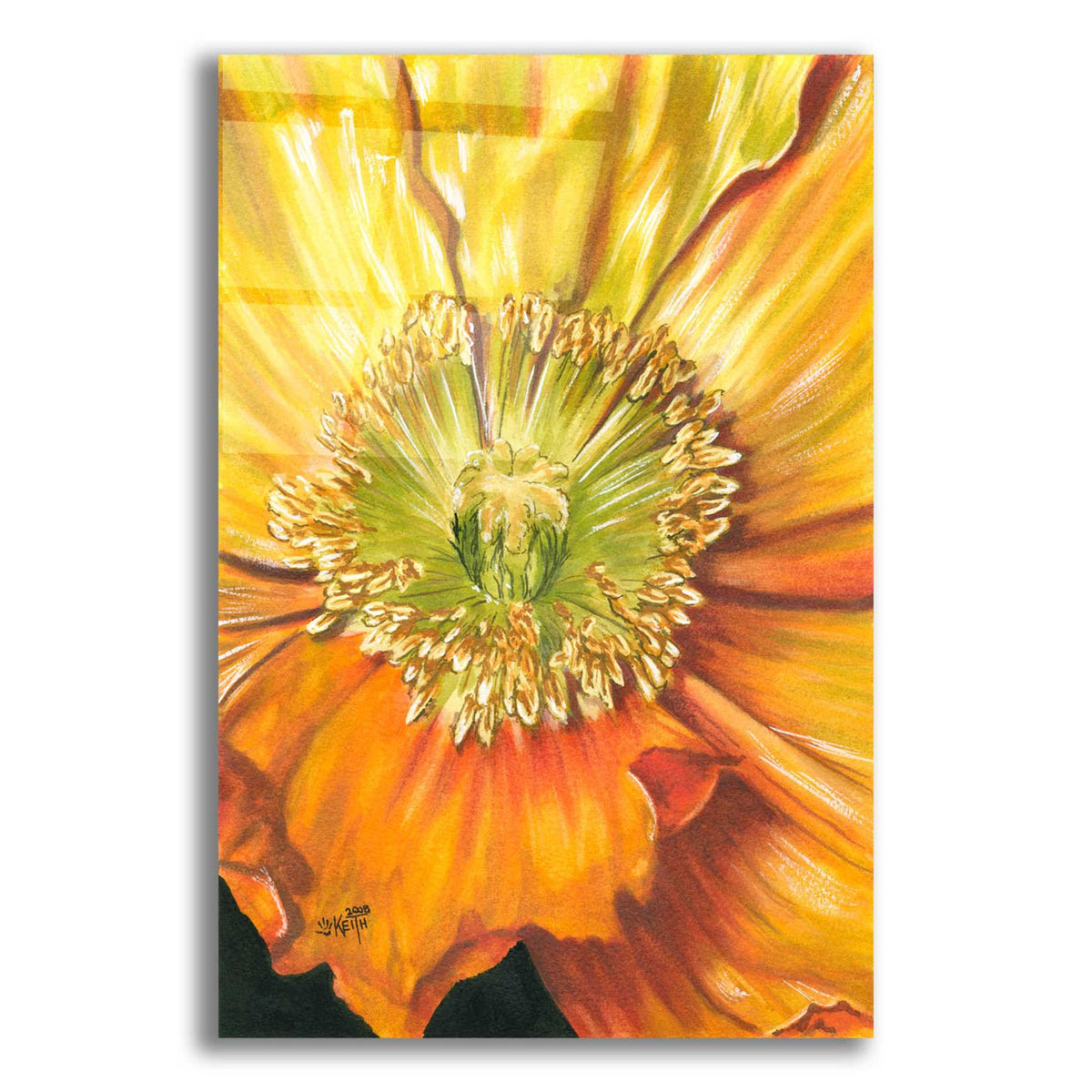 Sunburst by Barbara Keith acrylic glass wall art