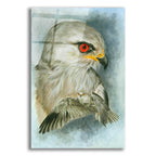 Velocity by Barbara Keith acrylic glass wall art