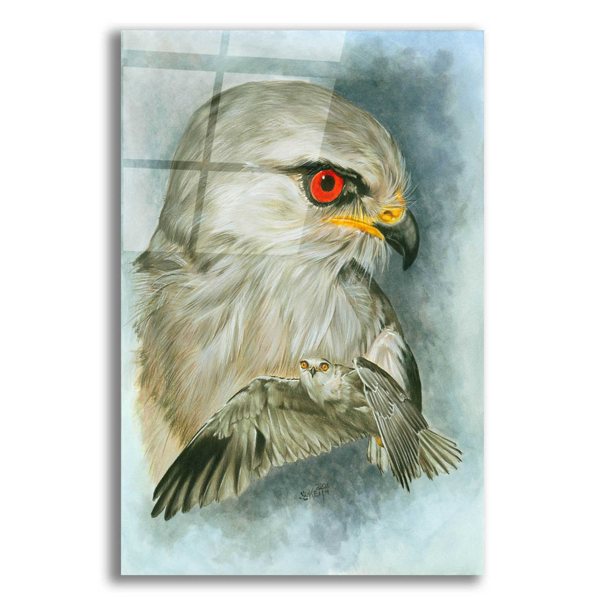 Velocity by Barbara Keith acrylic glass wall art
