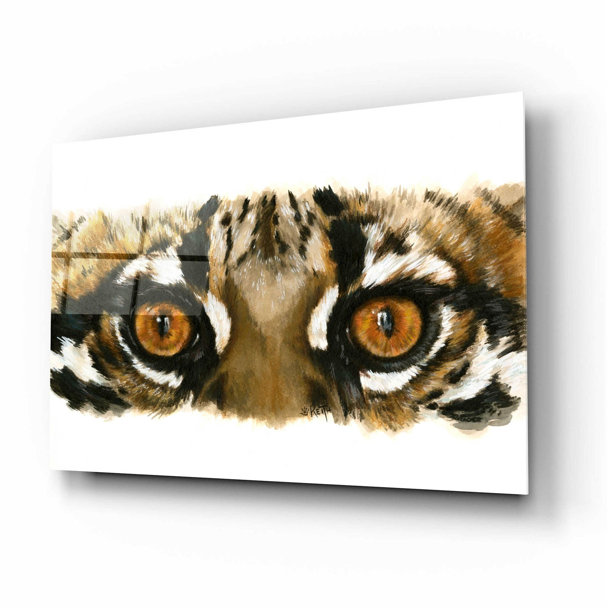 Epic Art 'Eye Catching Ocelot' by Barbara Keith, Acrylic Glass Wall Art,16x12