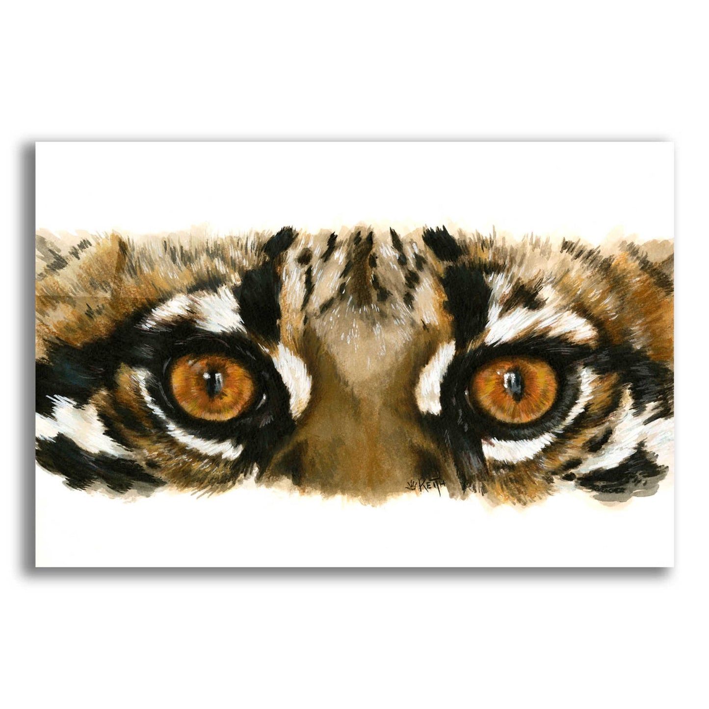 Epic Art 'Eye Catching Ocelot' by Barbara Keith, Acrylic Glass Wall Art,16x12