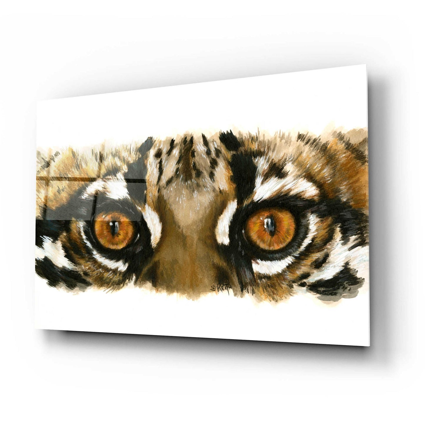 Epic Art 'Eye Catching Ocelot' by Barbara Keith, Acrylic Glass Wall Art,24x16