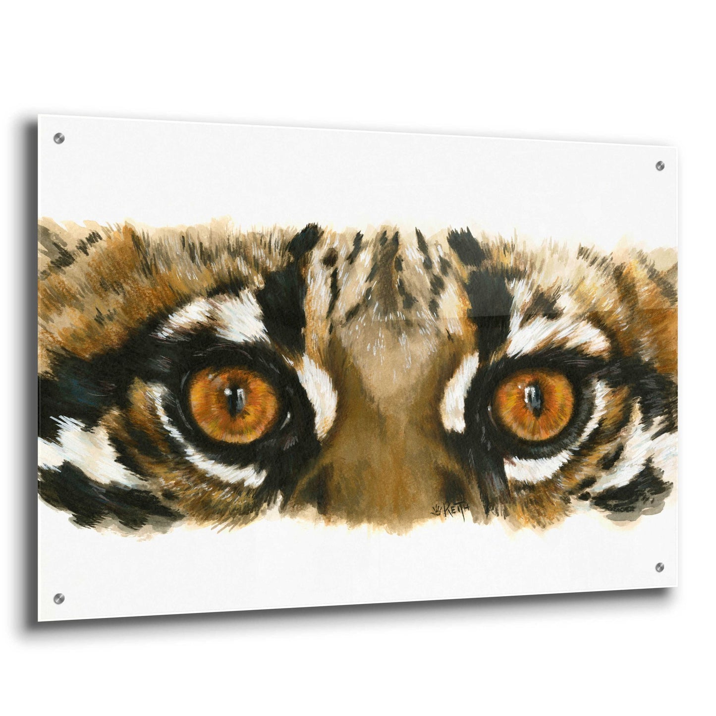 Epic Art 'Eye Catching Ocelot' by Barbara Keith, Acrylic Glass Wall Art,36x24