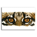 Eye Catching Ocelot by Barbara Keith acrylic glass wall art