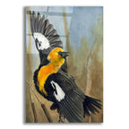 The Flirt by Barbara Keith acrylic glass wall art