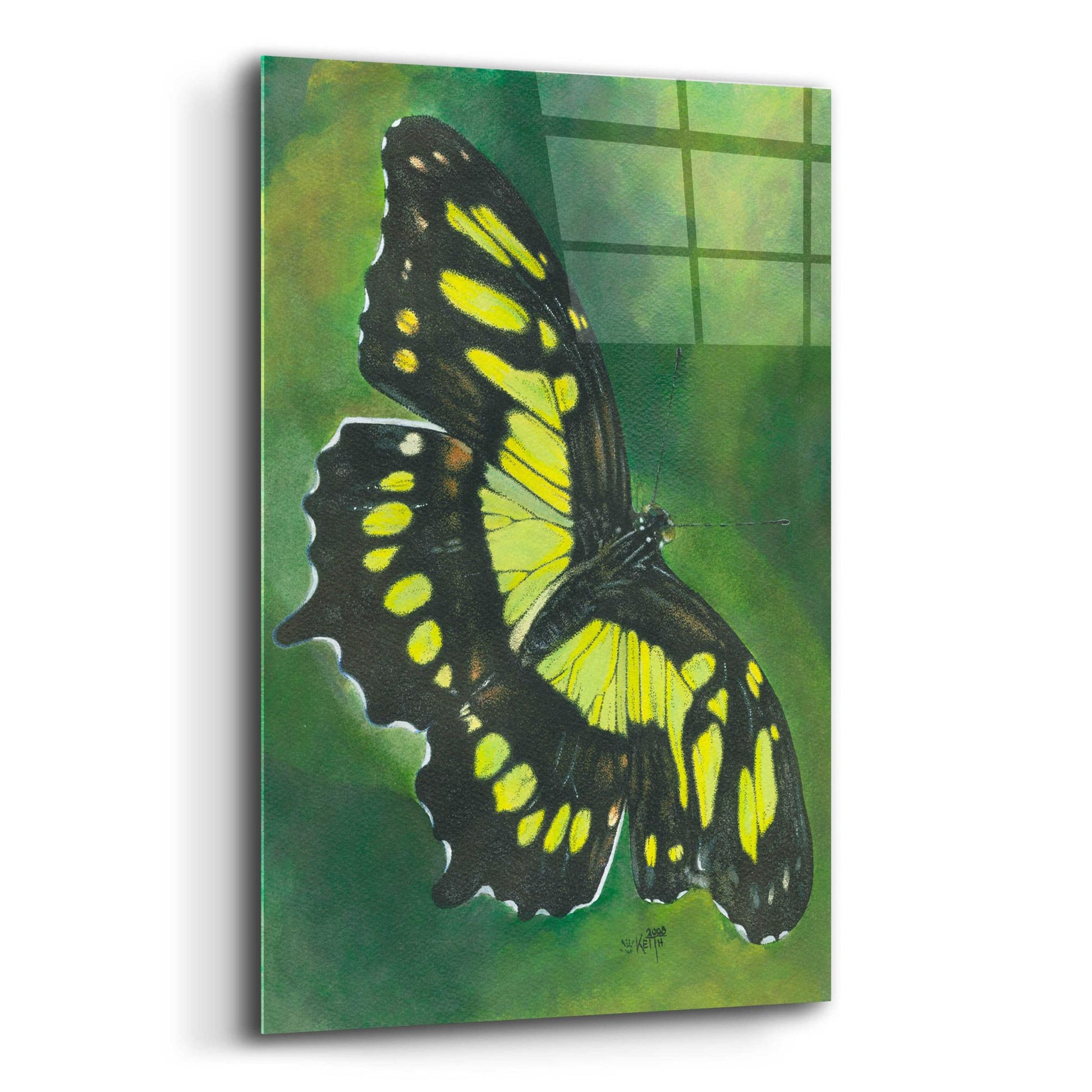 Epic Art 'Malachite Butterfly' by Barbara Keith, Acrylic Glass Wall Art,12x16