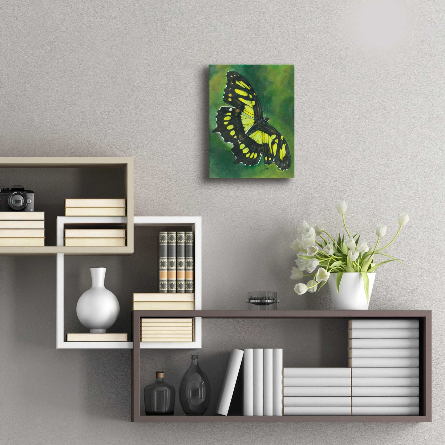 Epic Art 'Malachite Butterfly' by Barbara Keith, Acrylic Glass Wall Art,12x16