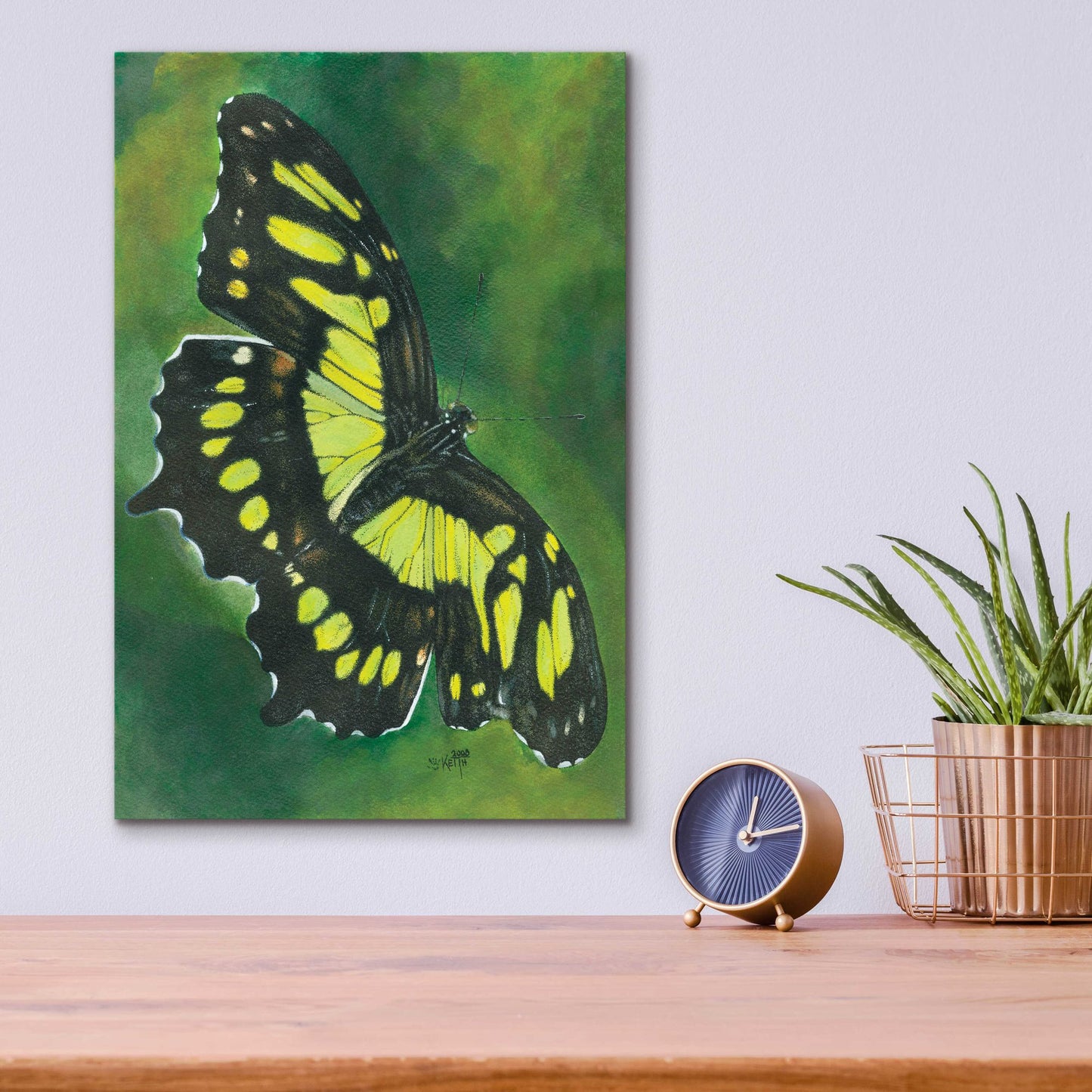 Epic Art 'Malachite Butterfly' by Barbara Keith, Acrylic Glass Wall Art,12x16