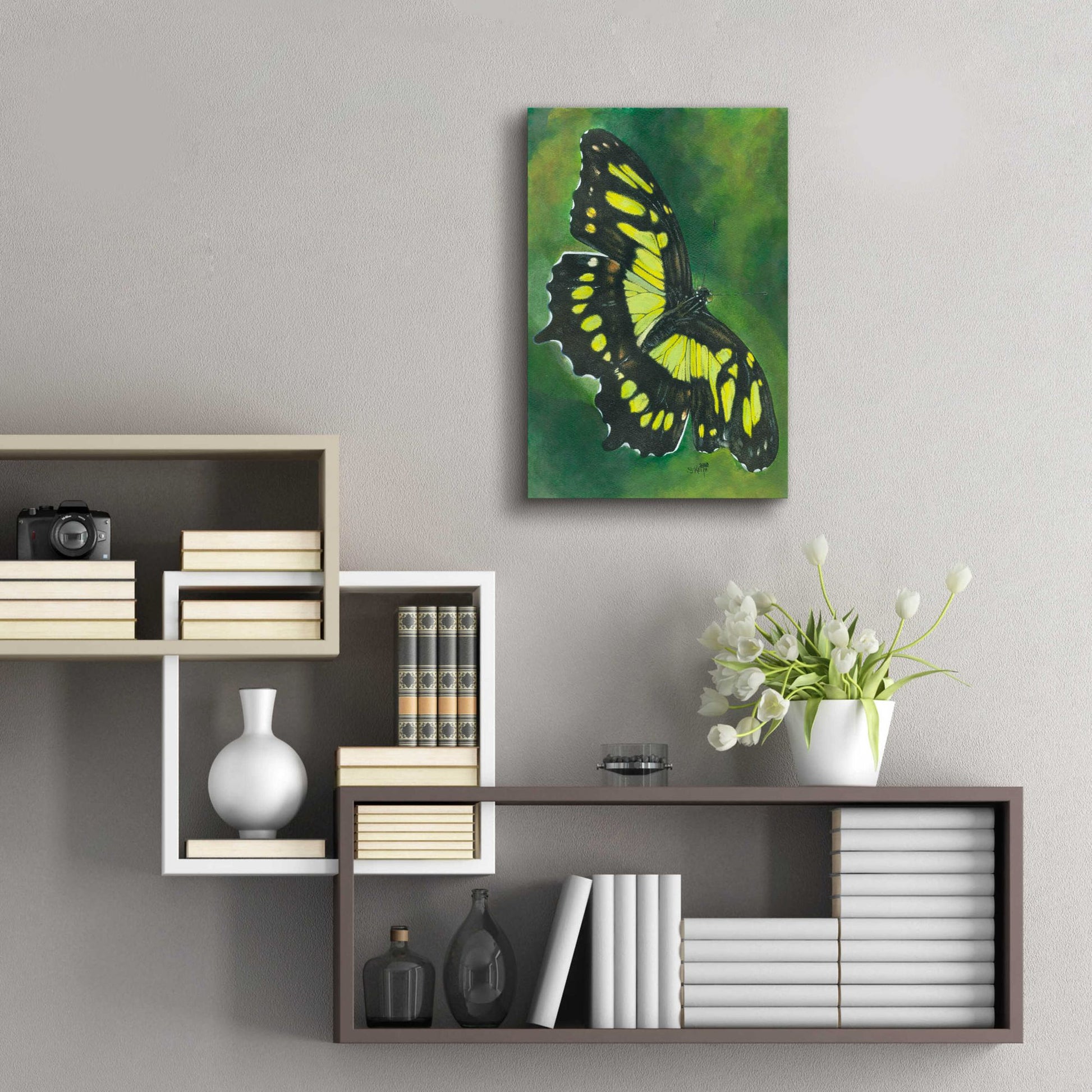 Epic Art 'Malachite Butterfly' by Barbara Keith, Acrylic Glass Wall Art,16x24